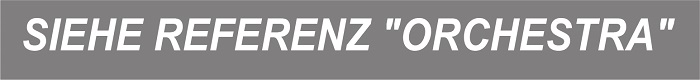 Btn Siehe Orchestra.jpg